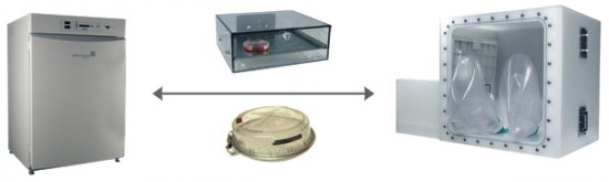 Incubator_Shuttle_Chamber_3.jpg